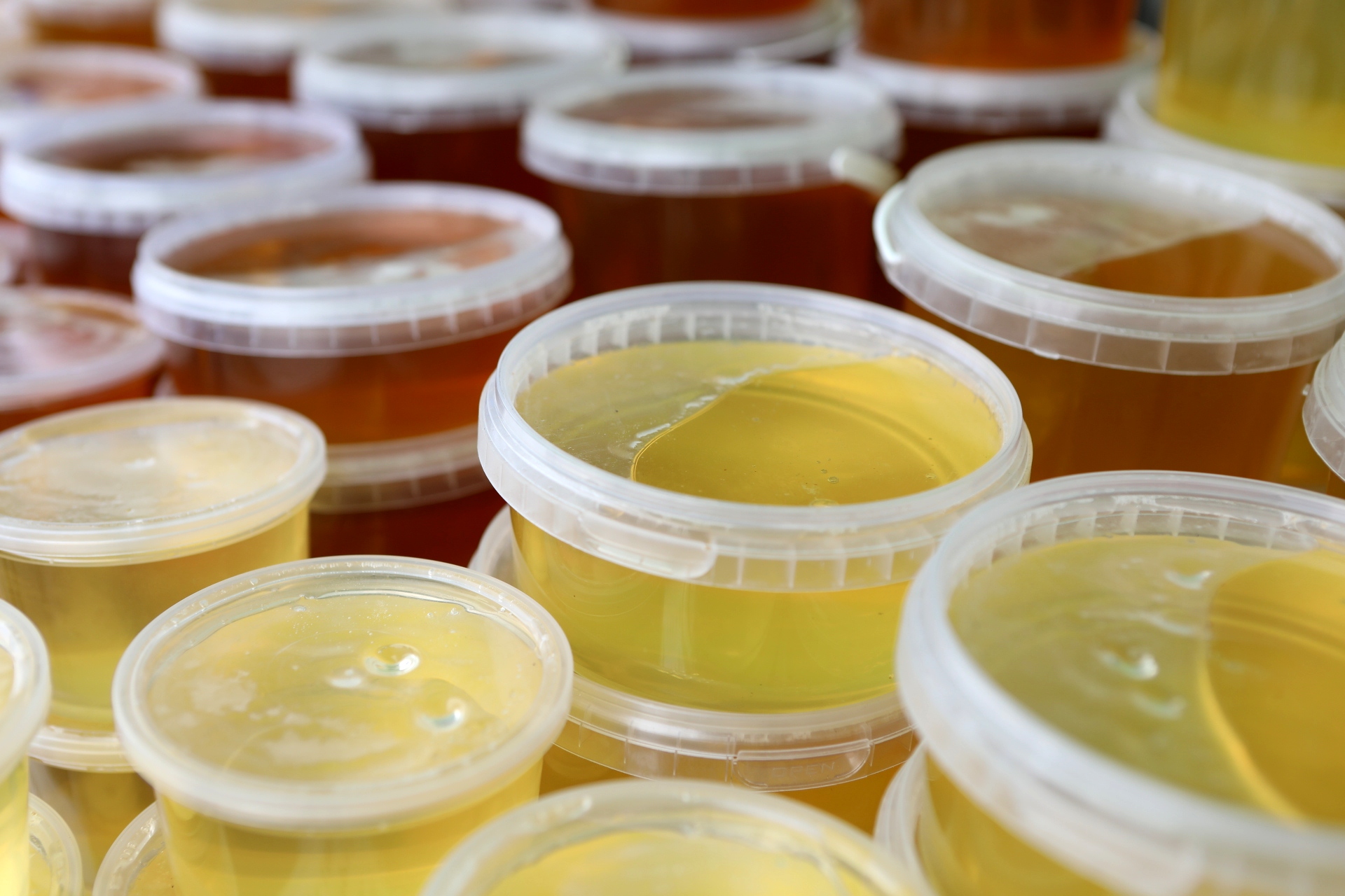 Приглашаем Вас принять участие в специализированных ярмарках «Курский мёд – 2023».